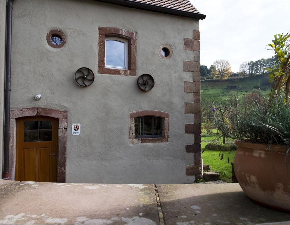 Landgrafen-Muehle Hotel Wallhalben Kültér fotó