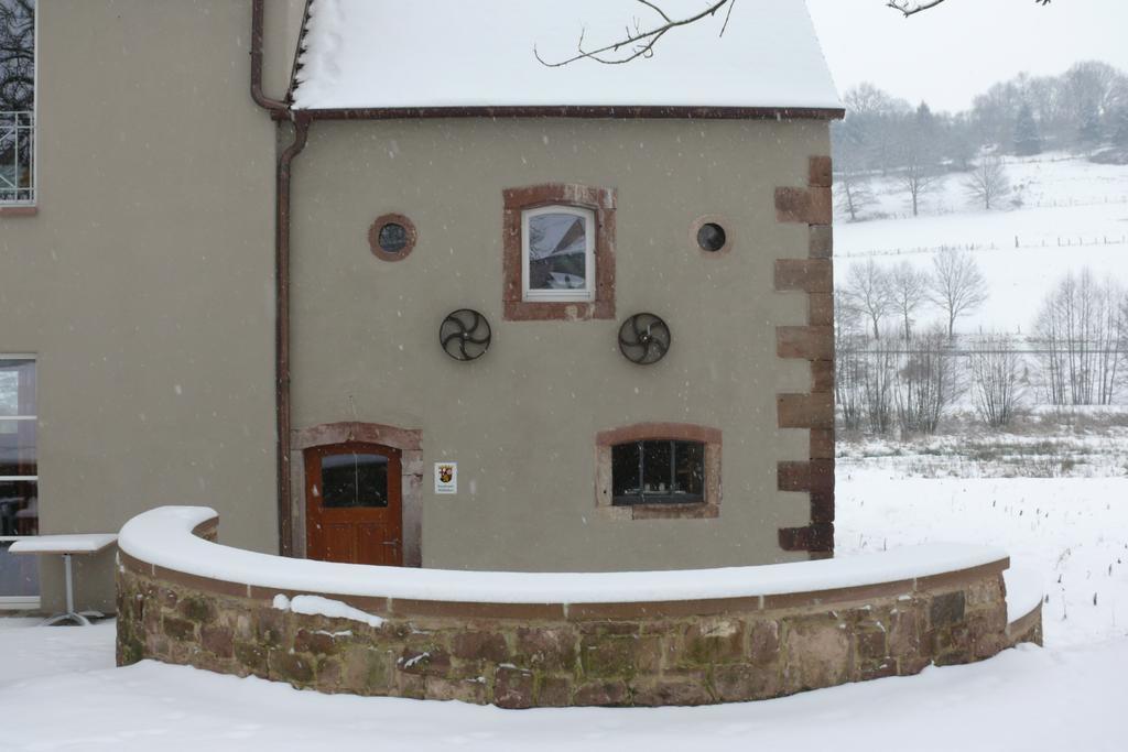 Landgrafen-Muehle Hotel Wallhalben Kültér fotó